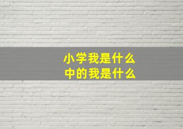 小学我是什么 中的我是什么